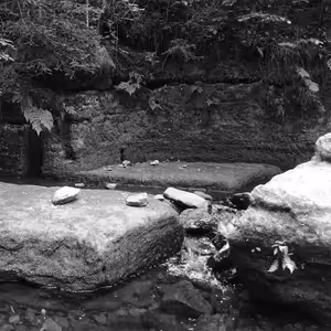 Pavla Melková: Údolím Hamerského potoka