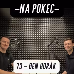 Jak funguje politika a náš vládní systém | Ben Horák