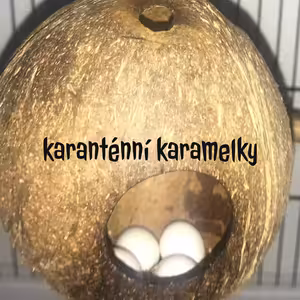 Karanténní karamelky - Petr Turecký & Jana Turecká