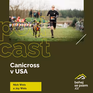 Canicross v USA