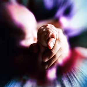 12/2020:SVĚDECTVÍ - Ukradené jogurty