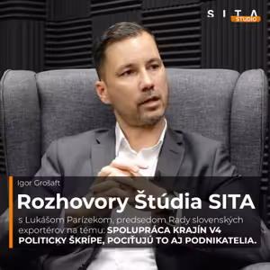 Lukáš Parízek - spolupráca krajín V4 politicky škrípe, pociťujú to aj podnikatelia | Štúdio SITA