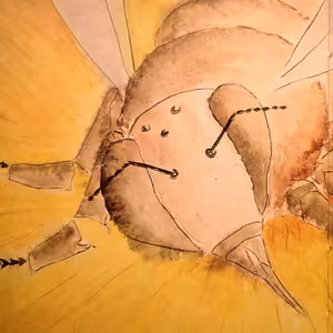 Ilustrované dětské knihy