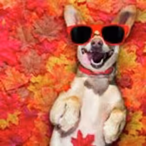 HOROSKOPY: Berani, mezi vámi a jistou osobou na pracovišti to začíná jiskřit, rýsuje se nový vztah