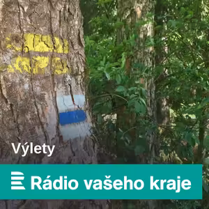 Palác Žofín, a dokonce i Slovanský ostrov, byste před několika stoletími v Praze hledali marně