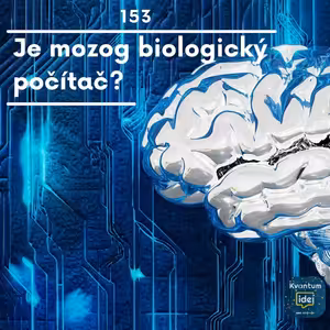 Je mozog biologický počítač?