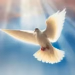 „Budete mi svedkami... (Sk 1, 8)“ - Robert Dick