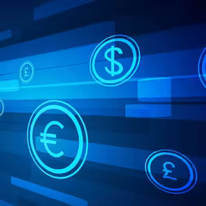 Digitální euro: Vlk v rouše beránčím