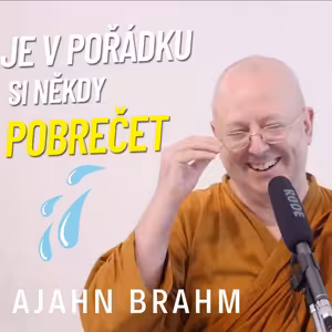 Je v pořádku si někdy pobrečet | Ajahn Brahm | 5.11.2021
