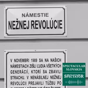 The Velvet Revolution: Optimism, companionship, and freedom