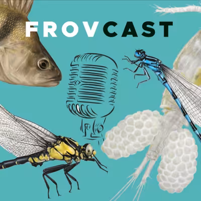 FROVcast - Voda na Váš mlýn