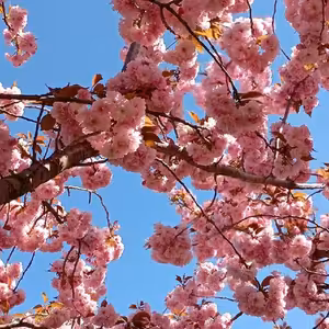 Přípravy na pohádku 👸🏼🐉🧚🏼‍♀️