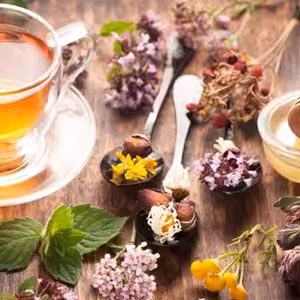 Trávení podle Ayurvédy - lehký náhled