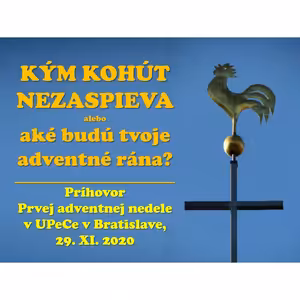 KÝM KOHÚT NEZASPIEVA