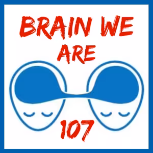 107: Mozková Randomshow - Neuroplasticita, Synestézie, Homunculus, Modulární teorie mysli a Bramborová hlava