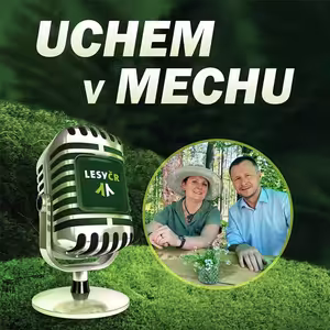 O obnově lesů, lesnické inspiraci a dobré praxi s ministrem zemědělství Zdeňkem Nekulou a ministryní životního prostředí Annou Hubáčkovou