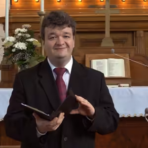 Plody stromu zvaného viera