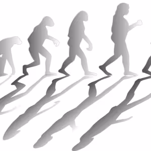 Audio článok Črevo a mozog #4 Bipedalizmus a Grounding