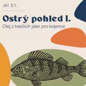 # 51 Ostrý pohled - úvod