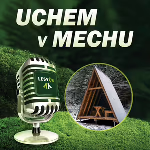 O útulnách budovaných Lesy ČR