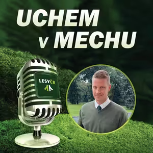 Letní podcast s Andrejem Tóthem o pomoci Lesů ČR lidem postiženým tornádem