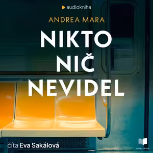 Nikto nič nevidel