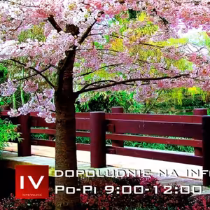 Dopoludnie na InfoVojne s Adrianom 8.4.2026