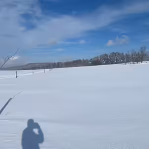 O personě a stínu podle Jana 21