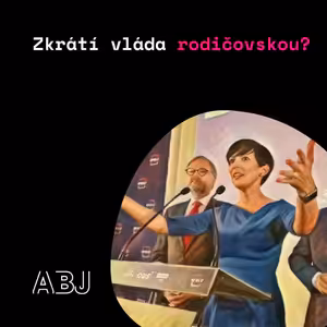 Vládní mafie dodržuje omertu. Blaho společnosti je pro Markétu Adamovou důležitější než blaho dítěte