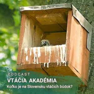 Koľko je na Slovensku vtáčích búdok?