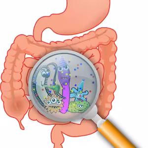 Audio článok Črevo a mozog #5 Mikrobióm a tráviaca sústava