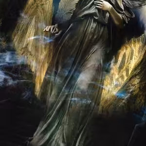 The Out-InSider exclussive Modular Mode live Record only by MAJORIS°