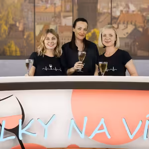 Kateřina Sokolová boří mýty o modelkách: Ekonomka, co se vyzná v umění a pomáhá rodinám s autismem