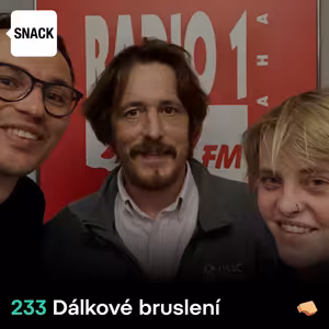 SNACK 233 Dalkove brusleni
