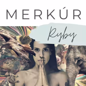 Merkúr v znamení Rýb