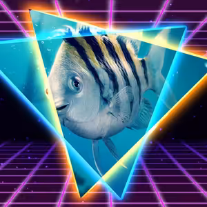 Disney, můžeš sakra přestat? Český sci-fi film. A pozor na kartičky, půjdete sedět!