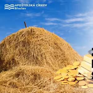 Zlato nebo sláma - Karel Káňa