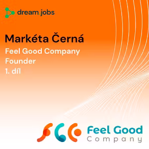 #53 - Možná nehledáte řešení problémů… ale viníky