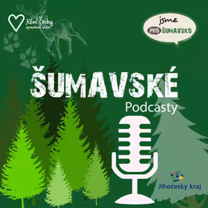 Šumavské podcasty #18 - Kilian Nowotny