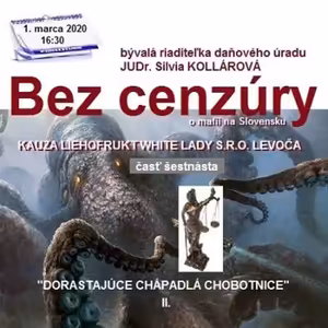 Bez cenzúry 158 - 2020-03-01 „KAUZA LIEHOFRUKT WHITE LADY S.R.O. LEVOČA“ časť 16.