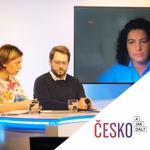 Domácí násilí. Mýty vs. realita. Webinář Univerzity Karlovy s doktorkou Moree a dalšími