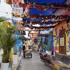 S13E17: KOLUMBIA - Banány.rar a Shakira