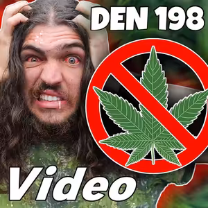 Bez HULENÍ půl roku