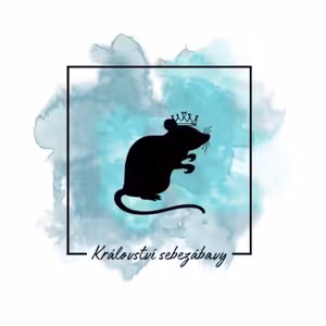 Důvod k oslavě pro nenáročné