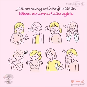 Jak hormony ovlivňují náladu během menstruačního cyklu?