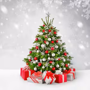 Vianočné priania detí SZŠ v Senci