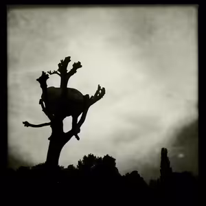 Pramen obrácení (3. mezidobí 2023 Sedliště)