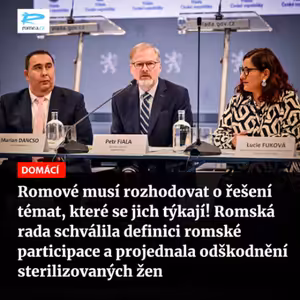 Čteme Romea.cz: Romové musí rozhodovat o řešení témat, které se jich týkají! Romská rada schválila definici romské participace a projednala odškodnění sterilizovaných žen