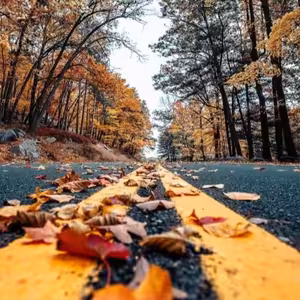 DENKO (október 2018)