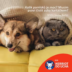 #26 Speciál – Ptali jste se a my odpovídáme – MVDr. Václav Bartoš